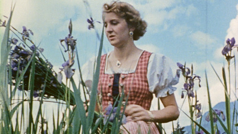 Vzestup a pád nacistů - 3/10 Demokracie bez demokratů 1929-1933