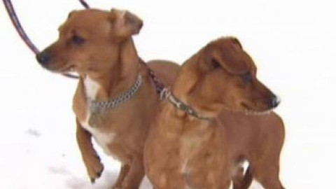 Chcete mě? - Chcete je?