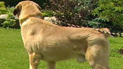 Chcete mě? - Chcete je?