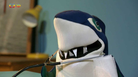 Medvídkova poradna - 13/25 Když byl Žralok nemocný