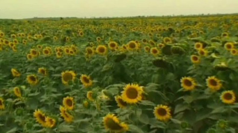 Kvarteto - 30. října 2009