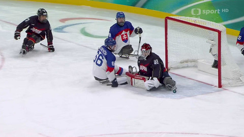 XIV. zimní paralympijské hry 2026 Milano Cortina - Slovensko - Japonsko