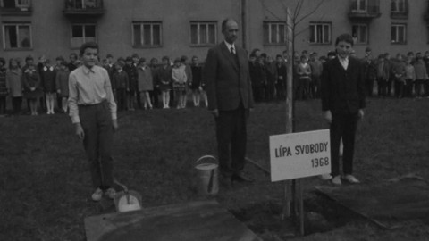 Krajové vysílání - Strom republiky