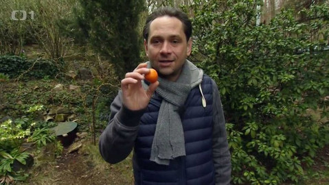 Polopatě - 17. dubna 2016