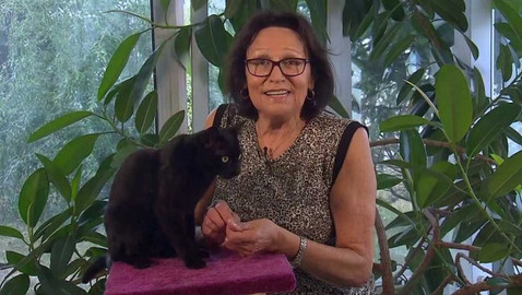 Chcete mě? - Chcete je?