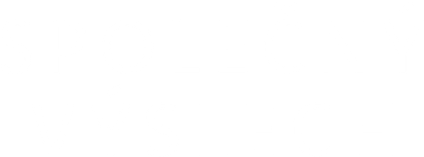 Společný výslech