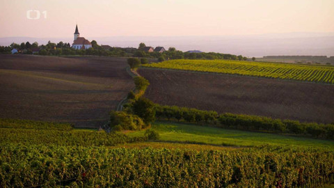 Herbář - 10. prosince 2023