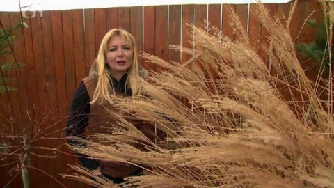 Polopatě - 1. března 2015