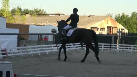 Jezdectví - Finále Kritéria mladých koní, drezura a skoky Zduchovice