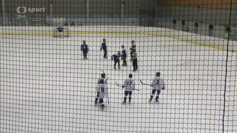 Olympiáda dětí a mládeže - Lední hokej