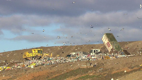 Nedej se! - Odpady pod kontrolou
