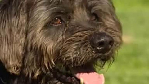 Chcete mě? - Chcete je?