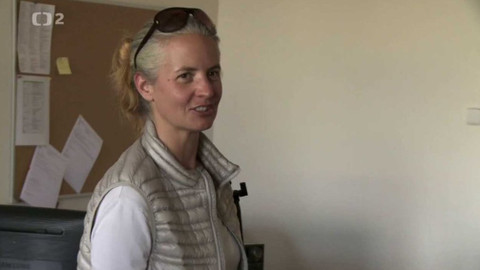 Rok jinak - Rok jinak Lenky Wimmerové