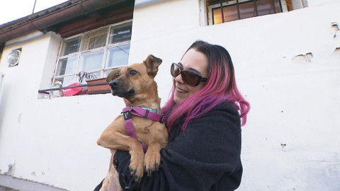 Chcete mě? - 10. prosince 2017