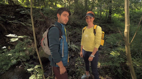 Tamtam - Tamtam Plus