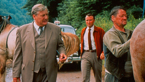 Maigret - Maigret a milovnice diamantů