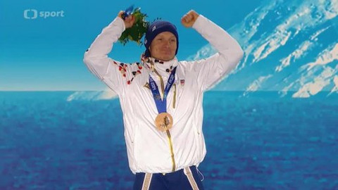 XXII. zimní olympijské hry 2014 Soči - České úspěchy na ZOH 2014 v Soči