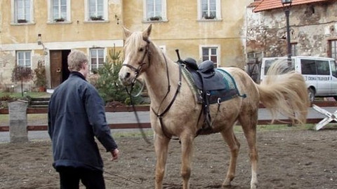 Mezi námi zvířaty - 16. února 2008