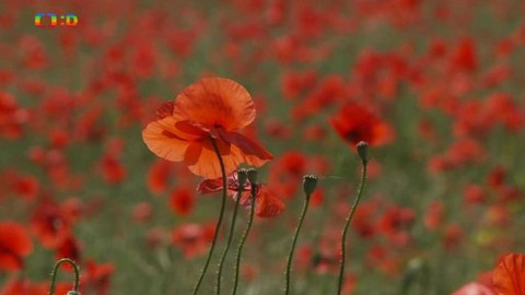 Novinky z přírody - Epizoda 15/53