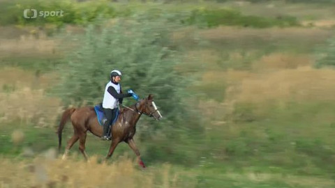 Jezdectví - ME v jezdecké vytrvalosti 2013 Česko