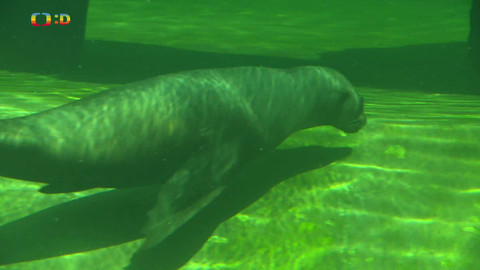 Zprávičky - 1. července