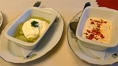 Pod pokličkou - Co zničí antibiotika, zachrání probiotika