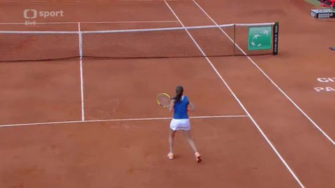 Fed Cup 2013 - Itálie - Česko