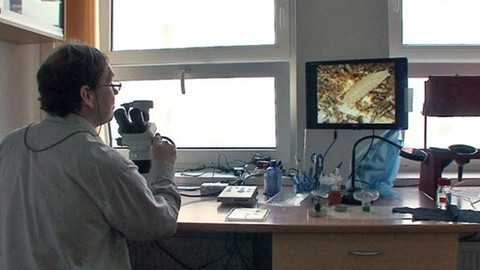 O vědě a vědcích - Společníci člověka