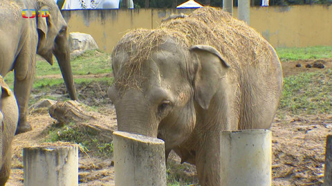 Zprávičky - 25. srpna 2024