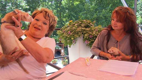 Hobby naší doby - Hobby naší doby - letní speciál