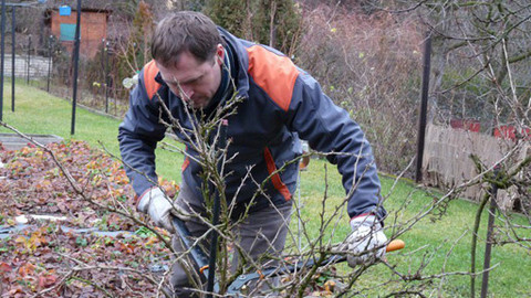 Zahrada pod lupou - 18. února 2012