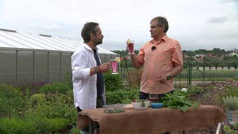 Polopatě - 26. června 2022