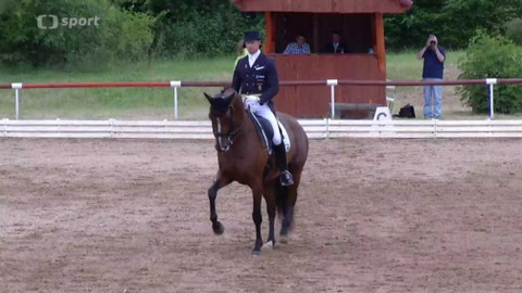 Jezdectví - Mezinárodní závody v drezuře CDI-W Brno