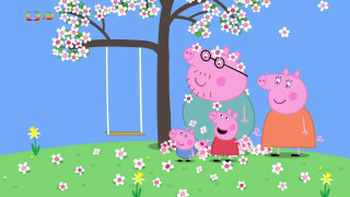 Prasátko Peppa IX