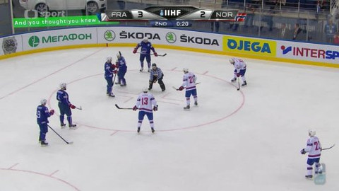 MS v ledním hokeji 2014 Bělorusko - Francie - Norsko