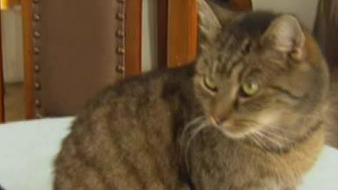 Chcete mě? - Chcete je?