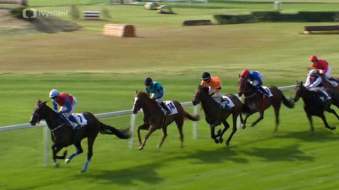 Dostihy - Pardubické rovinové dostihy