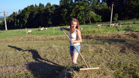 Malá farma - Seno a pouť