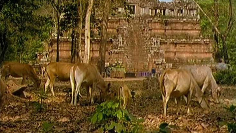 PORT - 3. října 2007