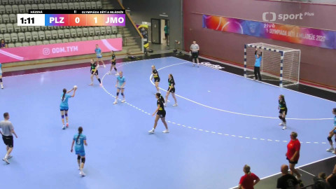 Olympiáda dětí a mládeže - Házená