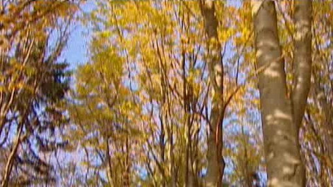 Přidej se - Atmosféra