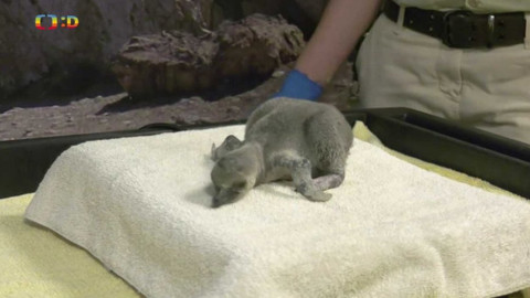 Zprávičky - 14. dubna 2021