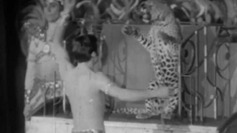 Televizní noviny - 27. dubna 1968