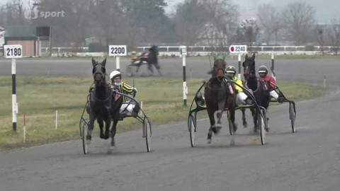 Dostihy - Klusácký St. Leger