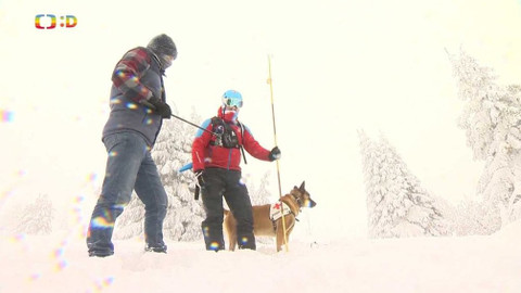 Zprávičky - 13. února 2021