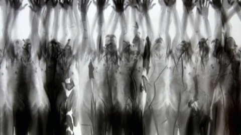 Q - 16. března 2009