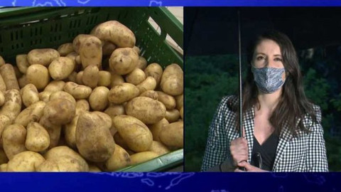 90’ ČT24 - Rostou ceny potravin, energií a bydlení