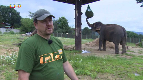 Zprávičky - 13. července 2020