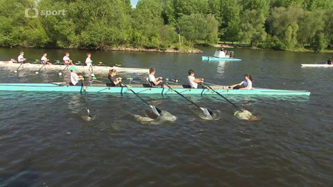 Medailonky českých veslařských klubů - SK Hamr - veslování