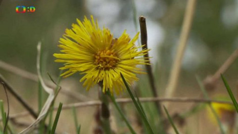 Novinky z přírody - Epizoda 7/53